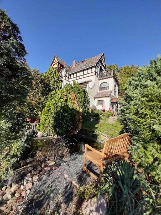 Ferienwohnung Elbsommer Am Weinberg マイセン エクステリア 写真