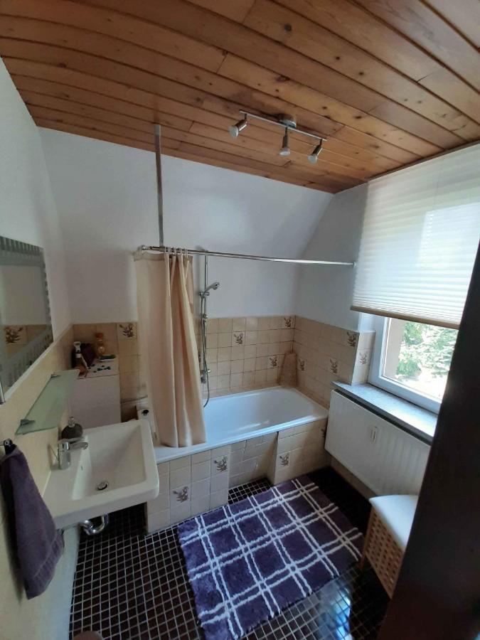Ferienwohnung Elbsommer Am Weinberg マイセン エクステリア 写真